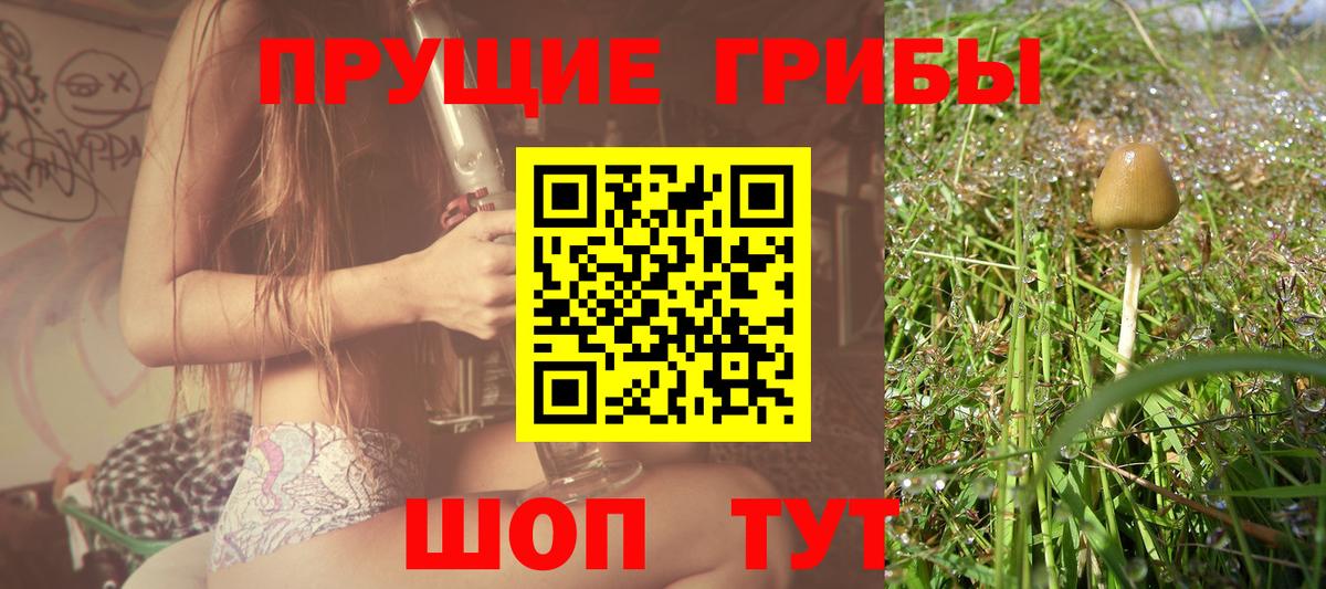 Псилоцибиновые грибы GOLDEN TEACHER  Галлюциногенные грибы мицелий  Вход с VPN  сколько стоит  Киселёвск 