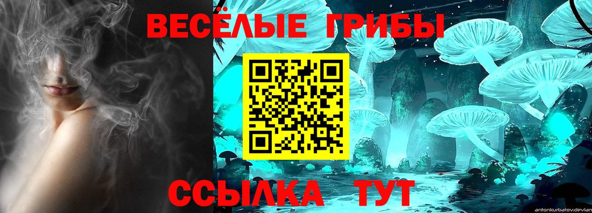 Галлюциногенные грибы Cubensis Киселёвск